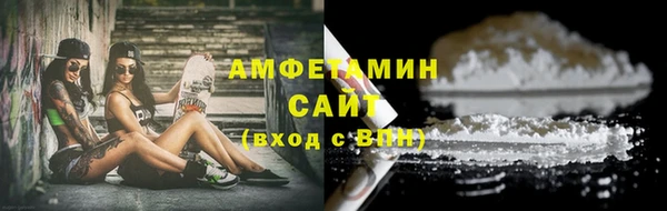 ПСИЛОЦИБИНОВЫЕ ГРИБЫ Богданович